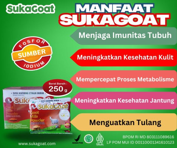1 box - Image 3